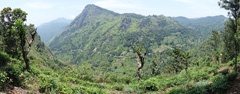 DSC01032a
